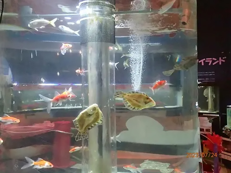 好適環境水