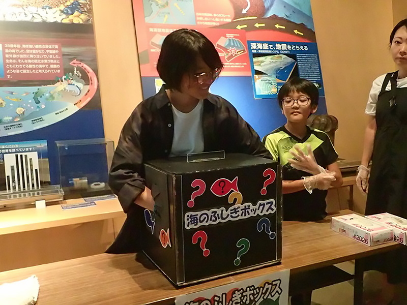 体験コーナー