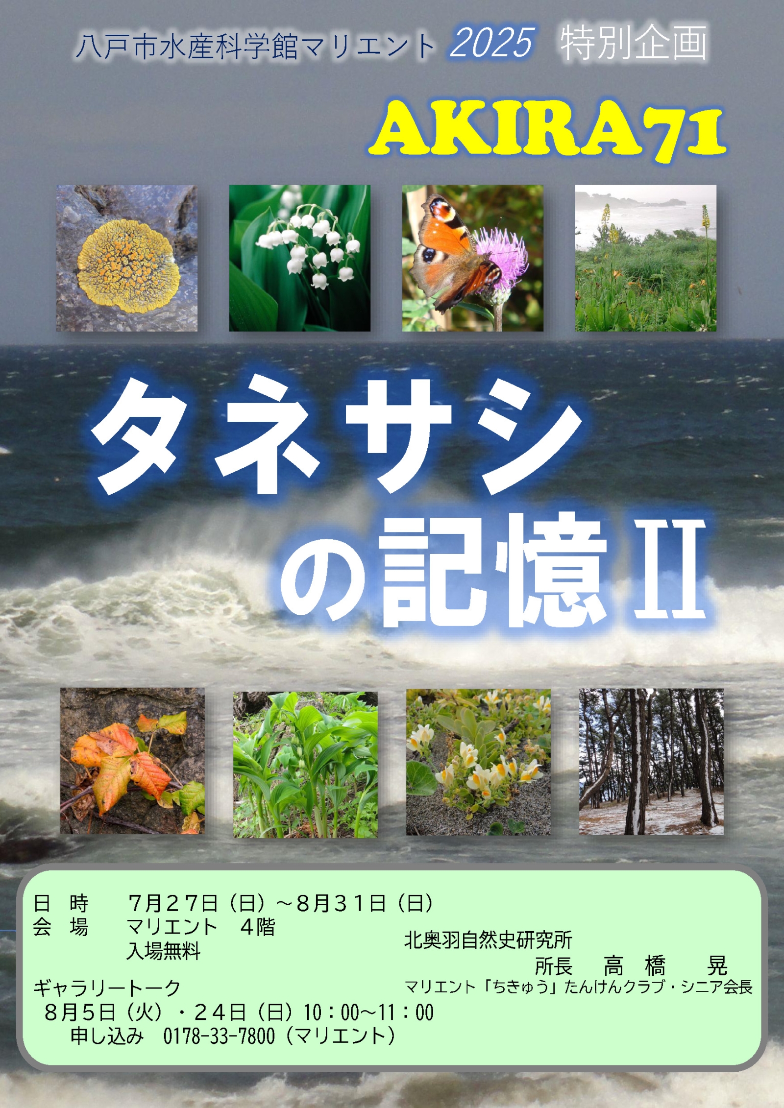 三原研 土の記憶 酉福ギャラリー 作品集 高級仕様 高橋晃氏「タネサシの記憶Ⅱ」AKIRA71」開催のお知らせ